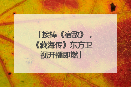 接棒《宿敌》，《藏海传》东方卫视开播即燃