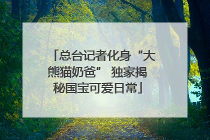 总台记者化身“大熊猫奶爸” 独家揭秘国宝可爱日常