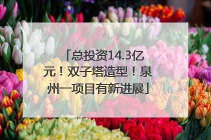 总投资14.3亿元！双子塔造型！泉州一项目有新进展