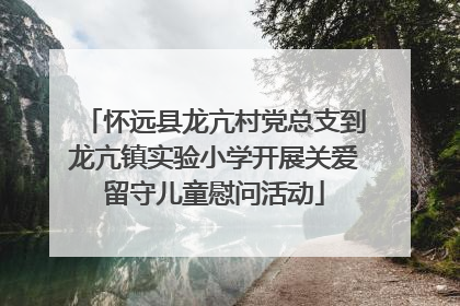 怀远县龙亢村党总支到龙亢镇实验小学开展关爱留守儿童慰问活动