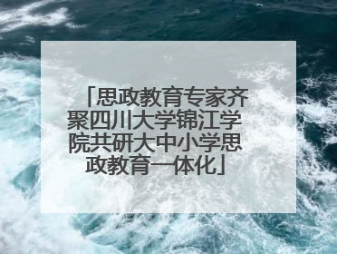 思政教育专家齐聚四川大学锦江学院共研大中小学思政教育一体化