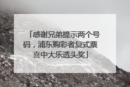 感谢兄弟提示两个号码，浦东购彩者复式票喜中大乐透头奖