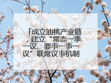 成立油桃产业链，建立“常态一季一议、要事一事一议”联席议事机制，山东省日照市莒县果庄镇——13个党小组“全周期”育果