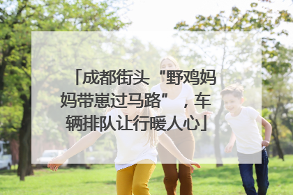 成都街头“野鸡妈妈带崽过马路”，车辆排队让行暖人心