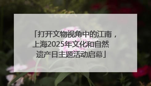 打开文物视角中的江南，上海2025年文化和自然遗产日主题活动启幕
