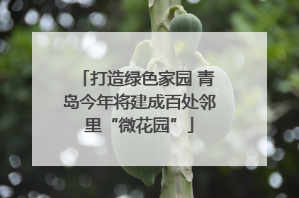 打造绿色家园 青岛今年将建成百处邻里“微花园”