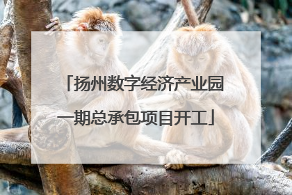扬州数字经济产业园一期总承包项目开工