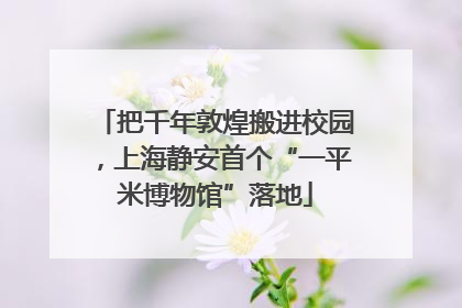 把千年敦煌搬进校园，上海静安首个“一平米博物馆”落地