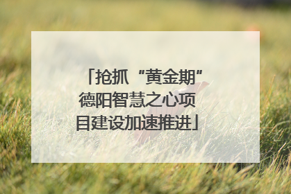 抢抓“黄金期” 德阳智慧之心项目建设加速推进