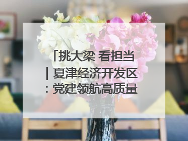 挑大梁 看担当｜夏津经济开发区：党建领航高质量发展新实践