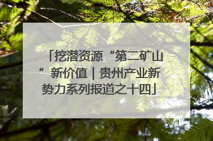 挖潜资源“第二矿山”新价值｜贵州产业新势力系列报道之十四