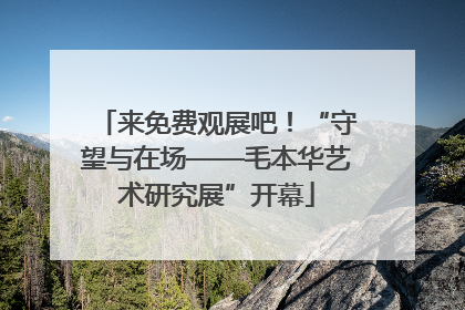 来免费观展吧！“守望与在场——毛本华艺术研究展”开幕