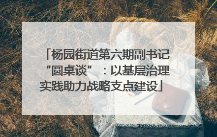 杨园街道第六期副书记“圆桌谈”：以基层治理实践助力战略支点建设