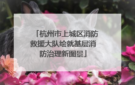 杭州市上城区消防救援大队绘就基层消防治理新图景