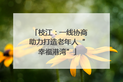 枝江：一线协商助力打造老年人“幸福港湾”