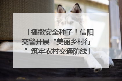 播撒安全种子！信阳交警开展“美丽乡村行”筑牢农村交通防线