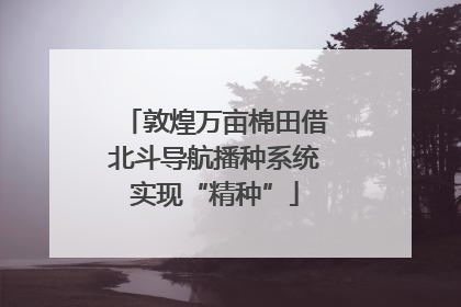 敦煌万亩棉田借北斗导航播种系统实现“精种”