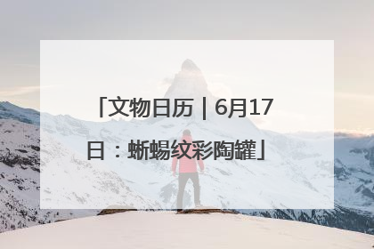 文物日历｜6月17日：蜥蜴纹彩陶罐