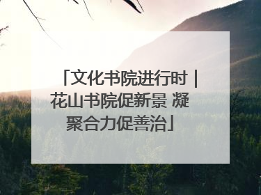 文化书院进行时｜花山书院促新景 凝聚合力促善治