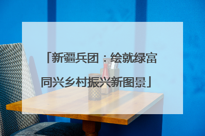 新疆兵团：绘就绿富同兴乡村振兴新图景
