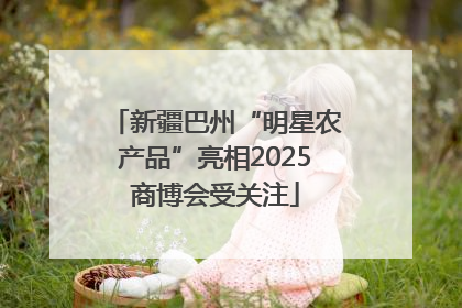 新疆巴州“明星农产品”亮相2025商博会受关注