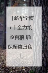 新华全媒+丨全力抢收夏粮 确保颗粒归仓