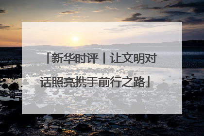 新华时评丨让文明对话照亮携手前行之路