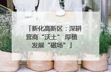 新化高新区：深耕营商“沃土” 厚植发展“磁场”