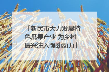 新民市大力发展特色瓜果产业 为乡村振兴注入强劲动力