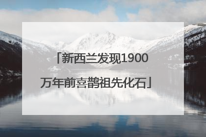 新西兰发现1900万年前喜鹊祖先化石