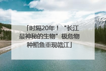 时隔20年！“长江最神秘的生物”极危物种鳤鱼重现赣江