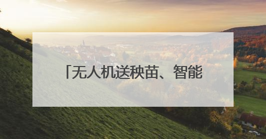 无人机送秧苗、智能“管家”巡田 解锁丰收背后的科技密码