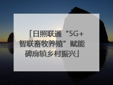 日照联通“5G+智联畜牧养殖”赋能碑廓镇乡村振兴