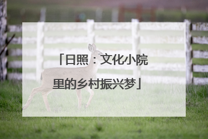 日照：文化小院里的乡村振兴梦