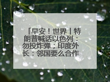早安！世界丨特朗普喊话以色列：勿投炸弹；印度外长：邻国要么合作要么付出代价