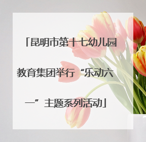 昆明市第十七幼儿园教育集团举行“乐动六一”主题系列活动