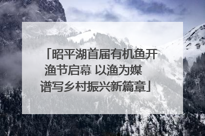 昭平湖首届有机鱼开渔节启幕 以渔为媒 谱写乡村振兴新篇章