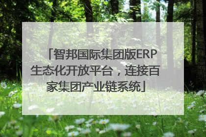 智邦国际集团版ERP生态化开放平台，连接百家集团产业链系统