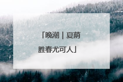 晚潮｜夏荫胜春尤可人