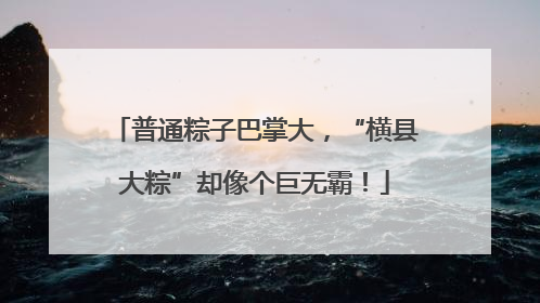 普通粽子巴掌大，“横县大粽”却像个巨无霸！