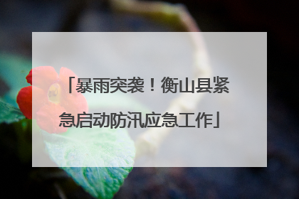 暴雨突袭！衡山县紧急启动防汛应急工作