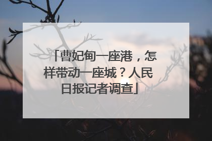 曹妃甸一座港，怎样带动一座城？人民日报记者调查