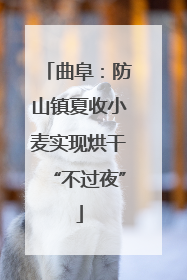 曲阜：防山镇夏收小麦实现烘干“不过夜”