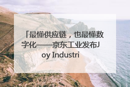最懂供应链，也最懂数字化——京东工业发布Joy Industrial 重塑工业未来