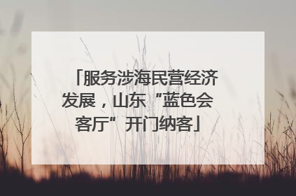 服务涉海民营经济发展，山东“蓝色会客厅”开门纳客