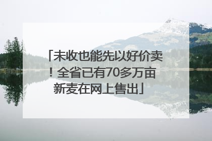 未收也能先以好价卖！全省已有70多万亩新麦在网上售出