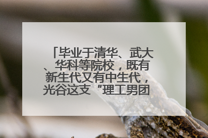毕业于清华、武大、华科等院校，既有新生代又有中生代，光谷这支“理工男团”为何“出道”？