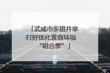 武威市多措并举打好优化营商环境“组合拳”