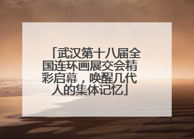 武汉第十八届全国连环画展交会精彩启幕，唤醒几代人的集体记忆