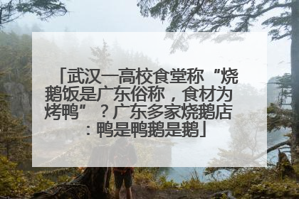 武汉一高校食堂称“烧鹅饭是广东俗称，食材为烤鸭”？广东多家烧鹅店：鸭是鸭鹅是鹅